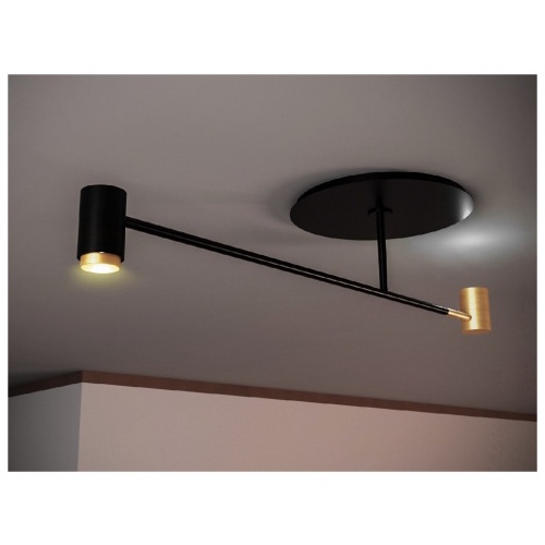 Melanocetus Pendant Light 5