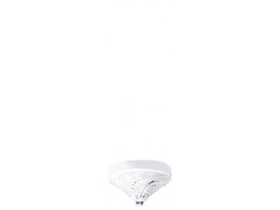 Coralline ceiling light