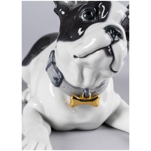 French Bulldog with Macarons Dog Figurine 10