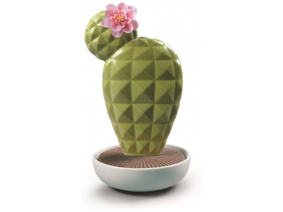 Opuntia Cactus Diffuser. Gardens of Valencia Scent