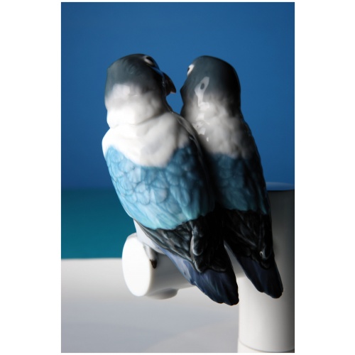 Parrot Love Plate 6