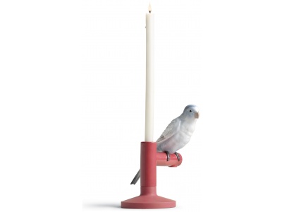 Parrot Light