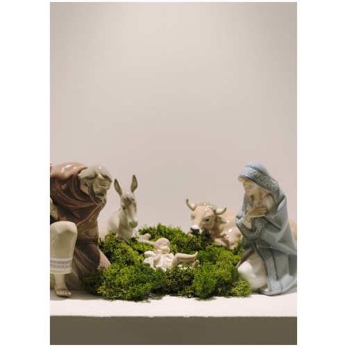 Animals at Bethlehem Nativity Set 6