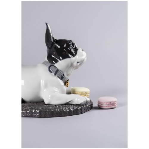 French Bulldog with Macarons Dog Figurine 6