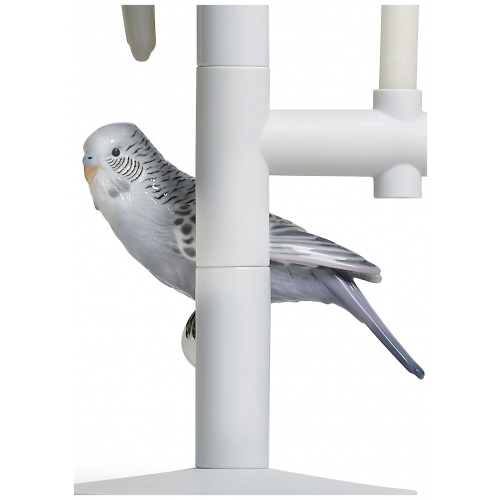 Parrot Team Candle Holder 5