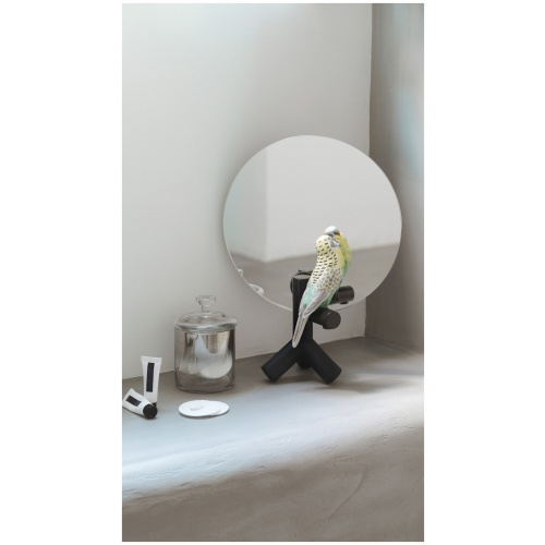 Parrot Vanity Vanity Mirror 5