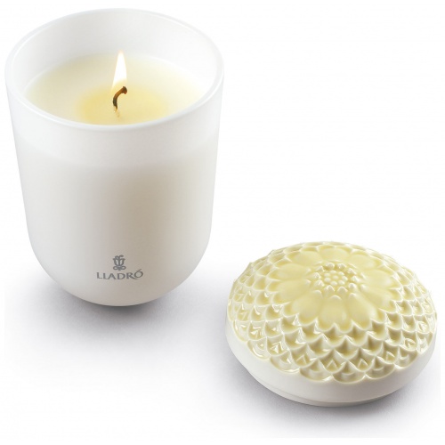 Echoes of Nature Candle. Tropical Blossoms Scent 6