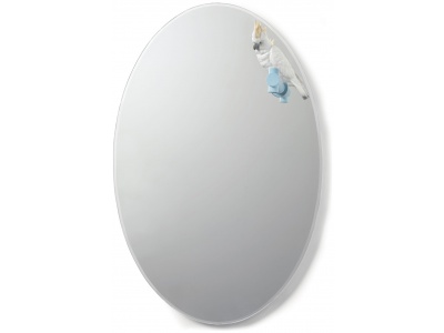 Parrot Shine II Wall Mirror