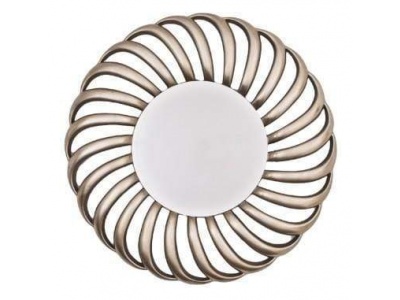 Round Champagne Silver Finish Mirror